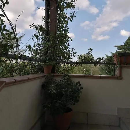 Appartement Lucia House *
